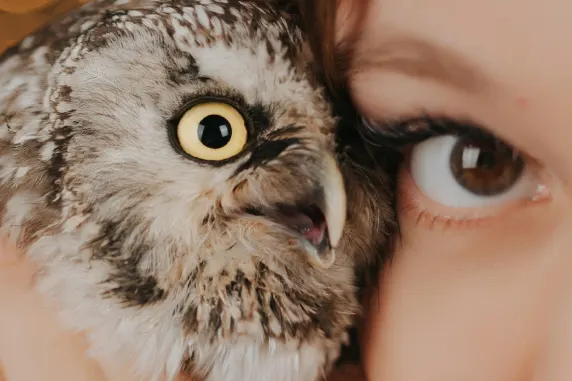 Casino AllStar Slots Supporto